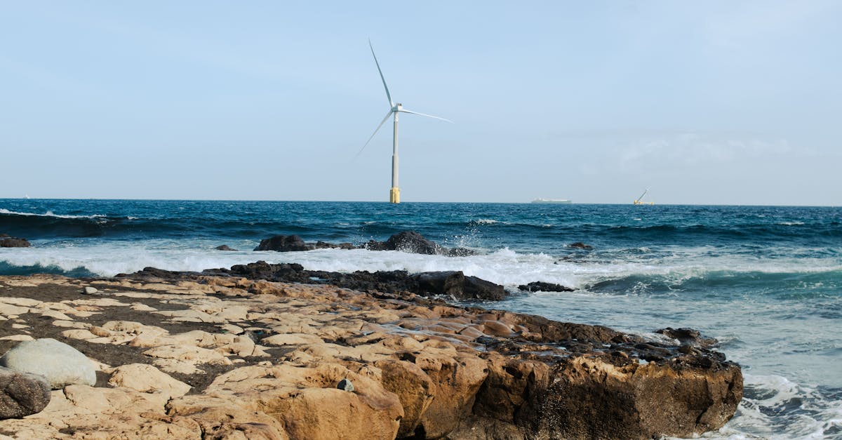 Implications pour les Investisseurs et l'Avantage de l'IA dans l'Analyse Énergétique