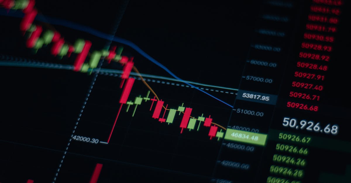 L'IA : Votre Copilote pour Capitaliser sur la Croissance du Marché Animalier