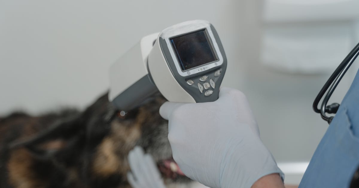 IDEXX : La Santé Animale, un Pari Gagnant pour 2026 ?
