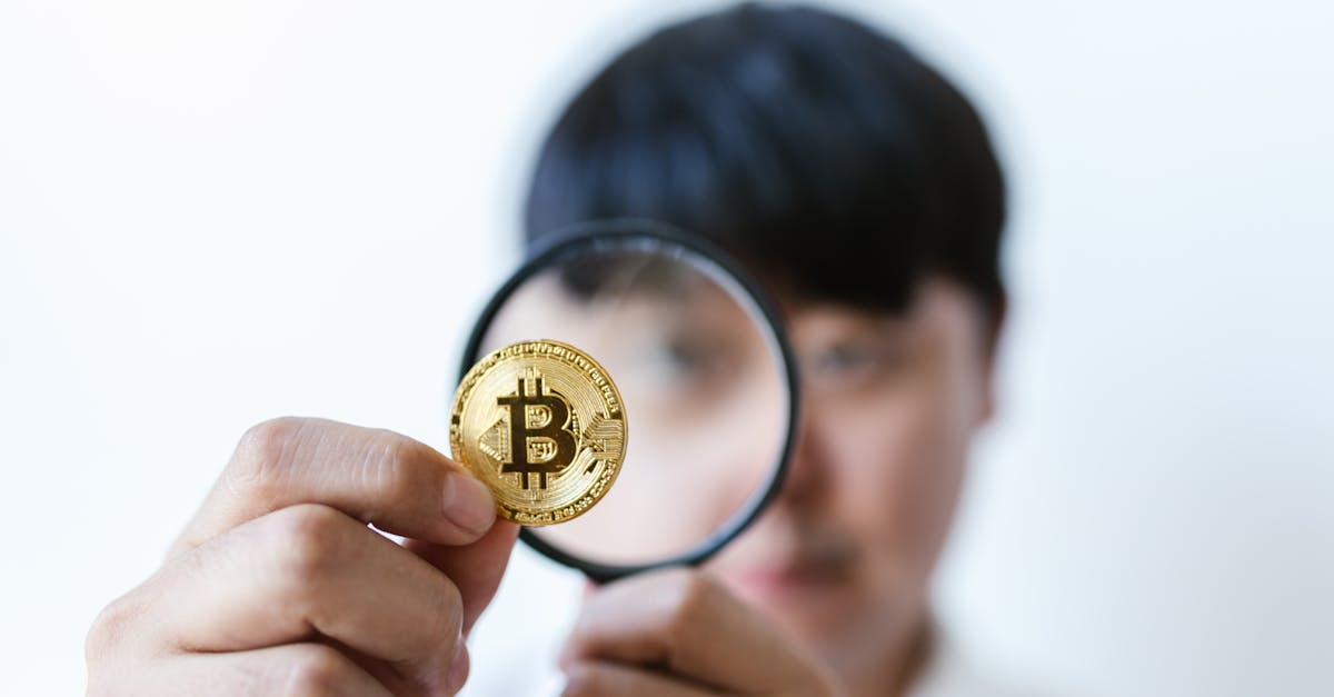 Implications pour le Trading et l'Allocation d'Actifs