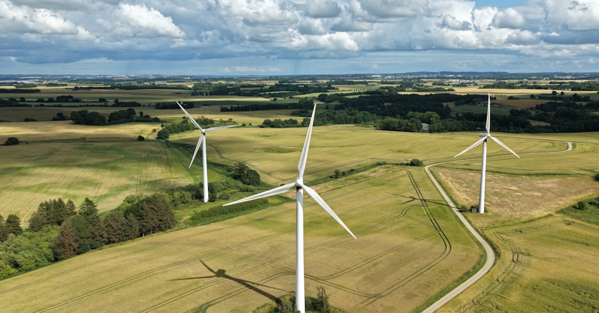 Logo TotalEnergies devant des éoliennes et panneaux solaires