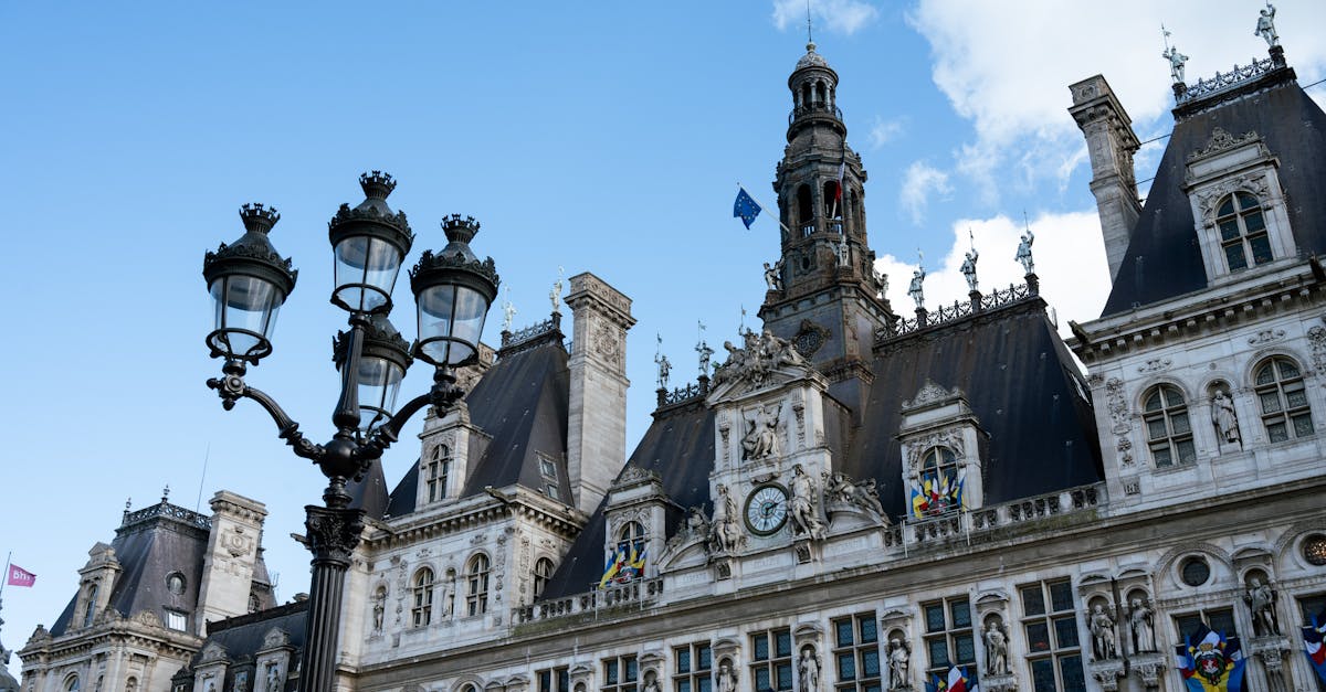 Les Motivations Économiques et Géopolitiques de l'État