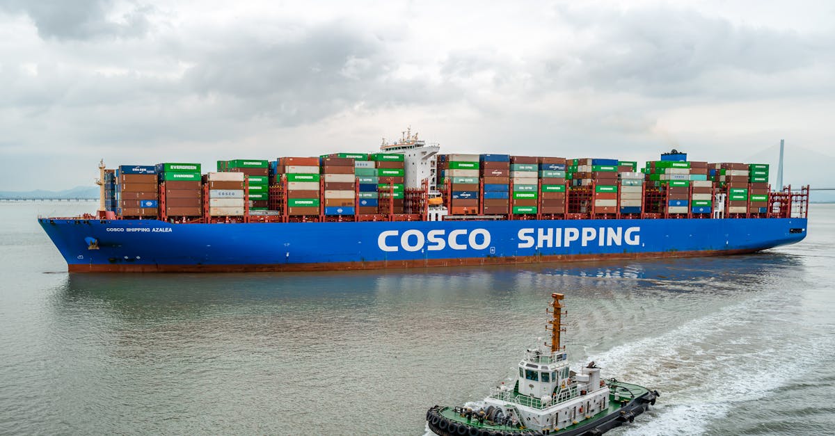 L'Étau se Resserre sur les Exportateurs : Marges Réduites et Compétitivité Érodée